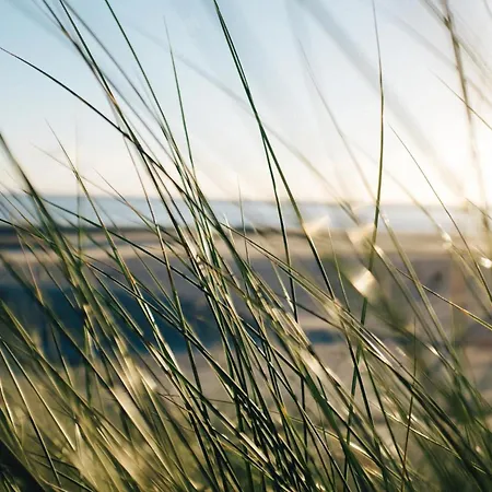 Nordstrandperle Ap E2 *